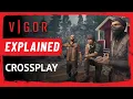 Vigor Explained Crossplay