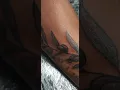 Olive Branches on the forearm