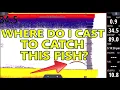 Sonar for Dummies Fish Finder Explained for BEGINNERS L6