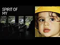 Sufjan Stevens - Death With Dignity(Demo) Self-made music video