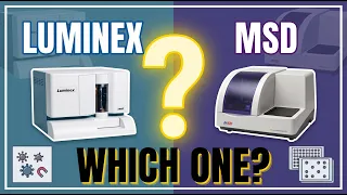 Luminex vs MSD Which Multiplex Platform Should You Choose