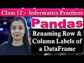 Pandas DataFrame - Renaming Row Column Labels of a DataFrame CBSE Class 12