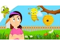 Baby Bumble bee Song Nursery Rhymes for Kids