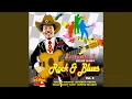 Download Lagu Aa Uu