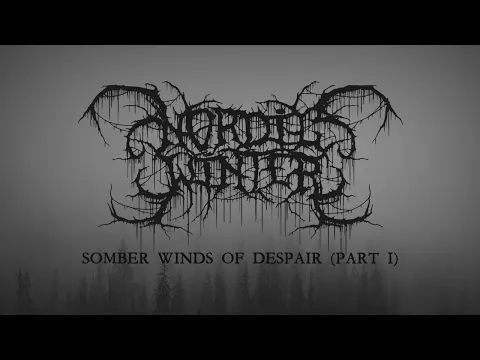 Nordicwinter - Somber Winds of Despair (primera parte) [Lyric Video] (Depressive Black Metal)