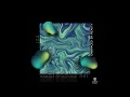Download Lagu Arash Shadram \u0026 Eleonora - Embraced By Reality (Habischman mix)