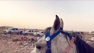 انا وسط ناسي  بيتعملي ١٠٠ حساب   دندنها
