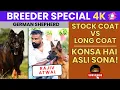 Download Lagu Male vs Female Puppy| Stock vs Long Coat GSD | Breeder Special |Rajiv Atwal Interview |Doggo Diaries