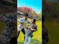 Download Lagu Palang Kare Macha Mach || #roushan_rohi || #trending #viral #magahi #song
