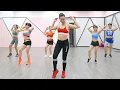 Download Lagu AEROBIC DANCE | 28 Minute Dance Workout At Home | Exercise To Lose Weight FAST