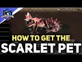 How To Get Scarlet Pet Kemono Spores Hotbellied Gecko Location Chapter 4 Wild Hearts