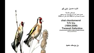 تغريد حسون تيتي فيو تيواواطي سافردينة 