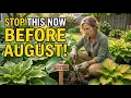 Your Hosta Needs This in Every August Most Gardeners Get It Completely Wrong