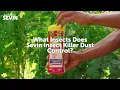 What Insects Does Sevin Insect Killer Dust Control