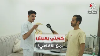 كويتي يعيش وسط الأفاعي في منزله   ويستمتع بتربيتها  دندنها