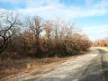Homes for Sale - Jim Walter Drive Lot 2 and 3 Runaway Bay TX 76426
