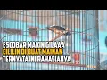 Download Lagu ESCOBAR GAK ADA LAWANYA‼️ TIKET MOBIL DISIKAT HABIS PERSIAPAN MAIN KE LAMPUNG 🔥