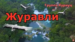 Formatia Curnut Группа Курнуц Журавли Cover 