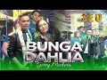 Lagu BUNGA DAHLIA - GERRY MAHESA - SEO MUSIC [ LIVE KUTOREJO MOJOKERTO ]