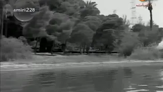 شاطء المرح نجاه 