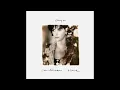 ENYA 1991 TRACK 2. ORINOCO FLOW