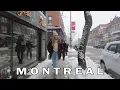 Montreal Snowfall Walk in Plateau in December 2022 Winter in Montreal QC Canada