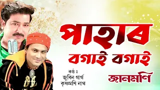 pahar bogai bogai assamese bihu song jaanmoni zubeen garg krishnamoni nath nk production