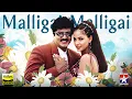 Download Lagu Malligai Malligai - Audio Song | Arasu | SarathKumar | Simran | Manisharma | Tamil Music Video