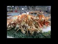 UMI Hotpot Sushi and Seafood Buffet Columbus Ohio