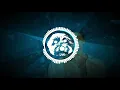 Shawn Mendes, Tainy - Summer Of Love (Thnked Remix)