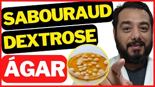 18) Ágar Sabouraud Dextrose | Meio de Cultura | Fungos Filamentosos e Leveduras | Microbiologia