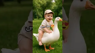 طفل يركب وزة لأول مرة     فيديو مضحك و لطيف للأطفال                                 طفل            دندنها