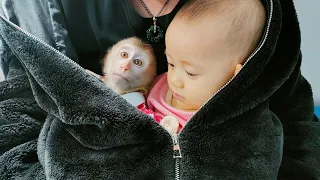 Monkey Kaka and Diem get to stay inside Dad's warming shirt during the cold weather.