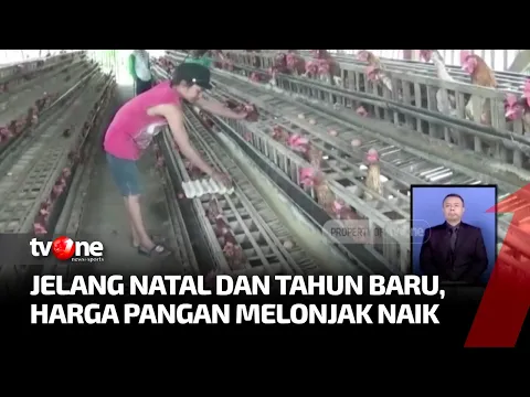 Harga Telur Ayam Tembus 30.000 Rupiah per Kg