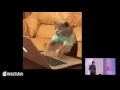 TCP Sockets Programming in Ruby - Sebastian Sogamoso Cookpad Inc