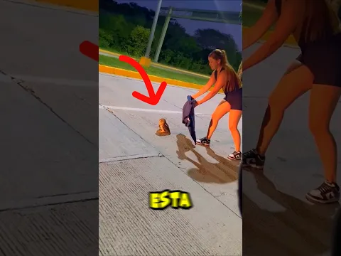 Curaron al búho enfermo. ¡Y entonces ocurrió un milagro inesperado! #ayuda #corto