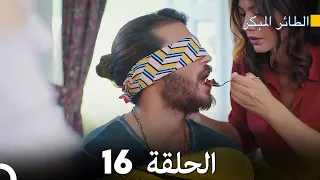 مسلسل الطائر المبكر الحلقة 16 دوبلاج عربي 