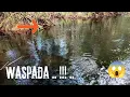 Lagu CEPAT PERGI KALAU LIAT GELEMBUNG AIR MENDEKAT SEPERTI INI .. 😱😰 ..