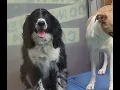 Dropped of our Kid at the PetSmart Pet Hotel