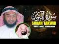 Lagu Surah At Takwir Hafez Kamrul Alom حافظ قمرالعالم سورۃ التکویر@WorldMuslimMedia