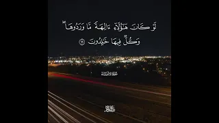 من سورة الانبياء القاري الشيخ علي جابر رحمه الله مقاطع دينية قصيرة وحالات واتس إسلامية 