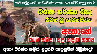 කාවන්තිස්ස ඇතා මරන්න කලින් ඉදන්ම සැලසුමක් තිබුණාද ? ගමේ හාමුදුරුවෝ හෙලිකරපු දේ! - kawanthissa tusker