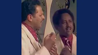 البينا عامرة 