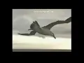 Fleetwood Mac ~ Albatross  (1968)