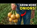I ll NEVER Grow Onions The Old Way Again After These Results