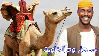 ود الخاوية محمود شريف 