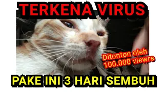 Download KUCING SAKIT LEMES TIDAK MAU MAKAN KELUAR AIR LIUR DAN DEMAM TINGGI (VIRUS CALICI) MP3