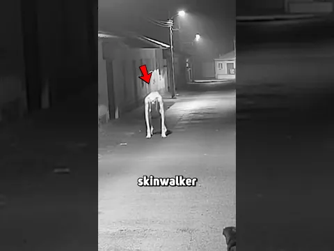 CCTV Footage of a Skinwalker vs Dog on the Street