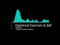 Danimal Cannon Zef Chronos - Parallel Processing Album