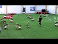 Lagu International Agility Training Week - Blind Cross timing and placement - preview